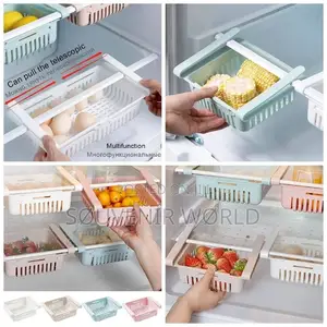 Storage Fridge