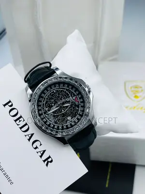 POEDAGAR Men Watch