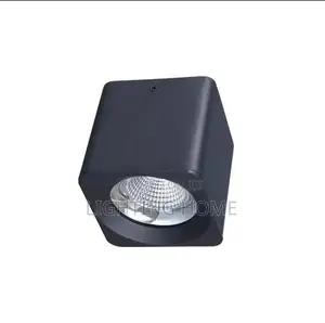 Parapet Light