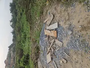 Photo - Commercial Land Along Major Road Iju