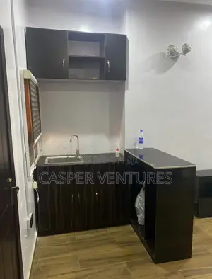 Photo - Studio Apartment in Victory Park, Osapa london for rent