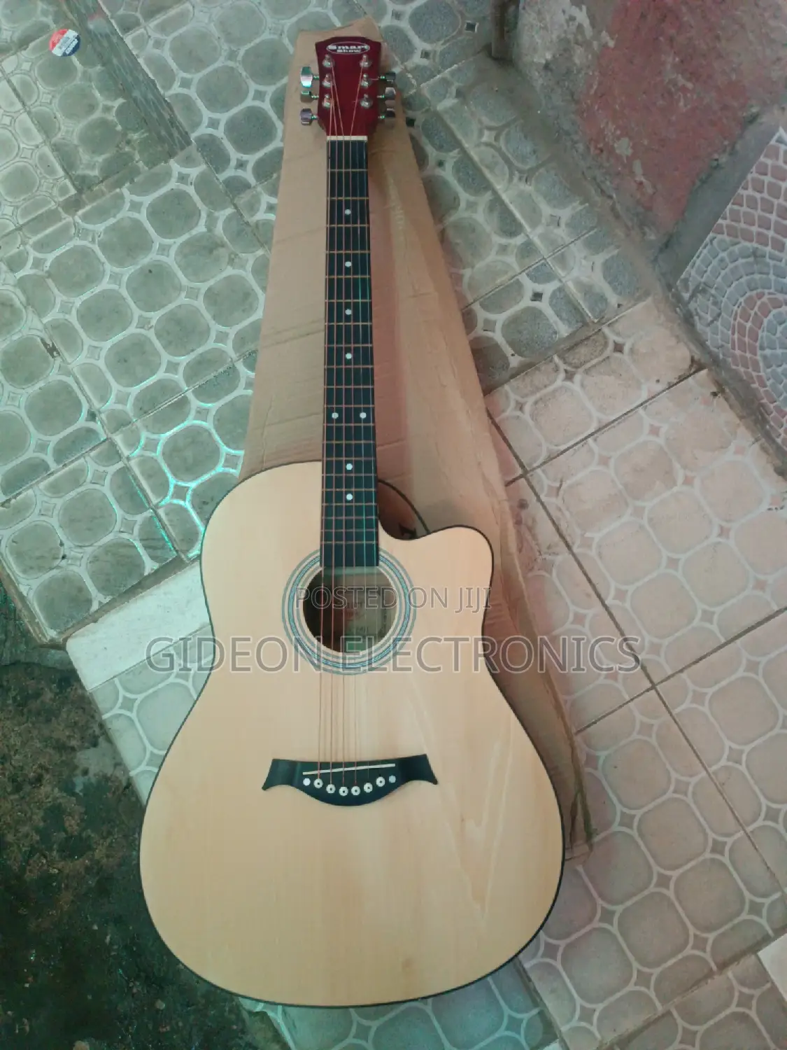Semi Acoustic Guitar.