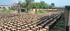 Moulding of Concrete Blocks on the Site Is Cheaper and Stron