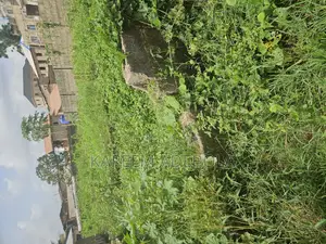Commercial Land at King Road Old Ikoyi Lagos