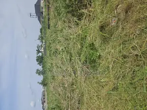 Photo - Commercial Land at Mc Gregor Ikoyi Lagos