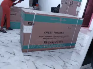 Energy Efficiency 420 Liters Fast Frozing Chest Freezer