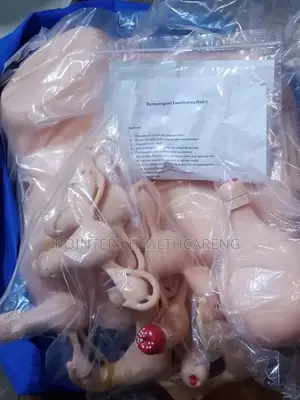 Gynecological Examination Pelvic Model