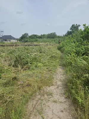 Commercial Land at Oregun Road Oregun