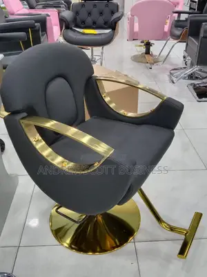 Luxury Salon Chair