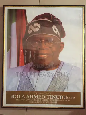 Presidential and Governor Picture Frame