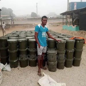 Painter in Ajah