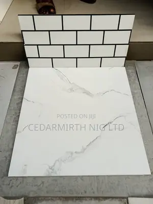 Wall Floor in Black White