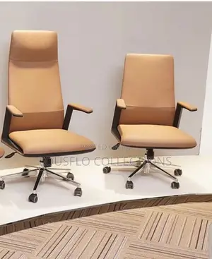 Director Office Chair