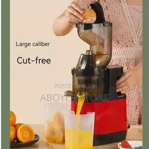 Multifunctional Juice Machine
