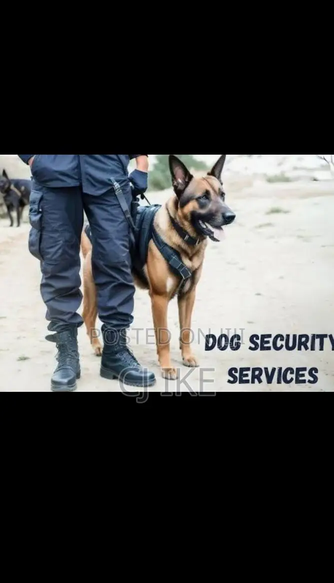 Dog Security Guard Services