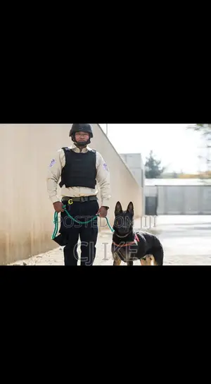 Dog Security Guard Services