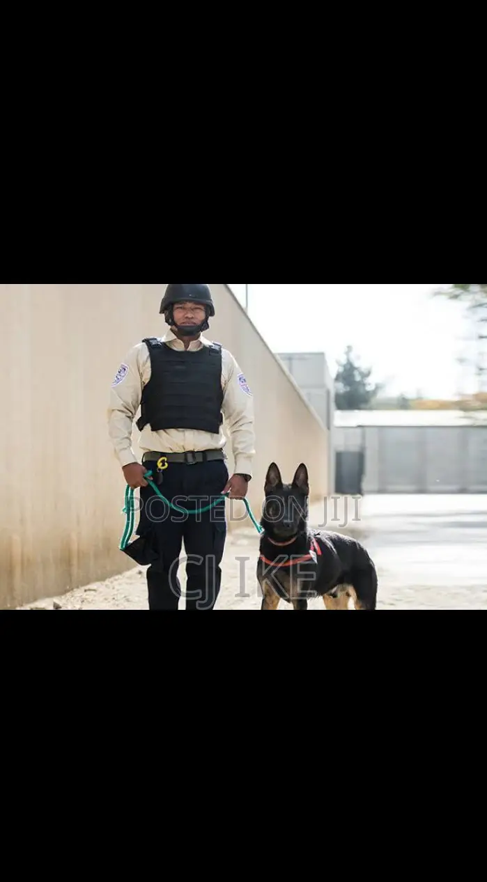 Dog Security Guard Services