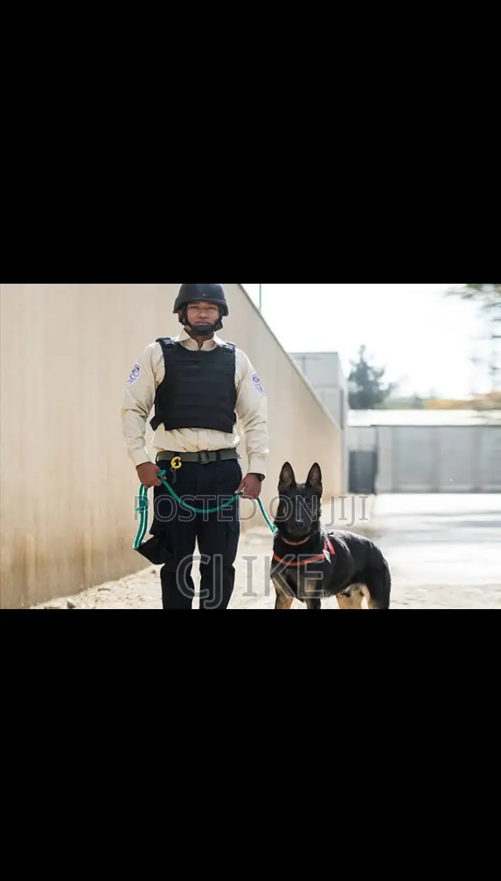 Dog Security Guard Services