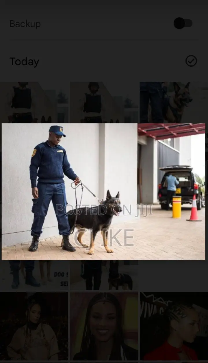 Dog Security Guard Services