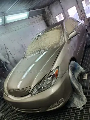 Looking for a Car Painter? We Are Mobile!!