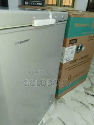 Durable Hisense 95 Litres 120sh Chest Freezer