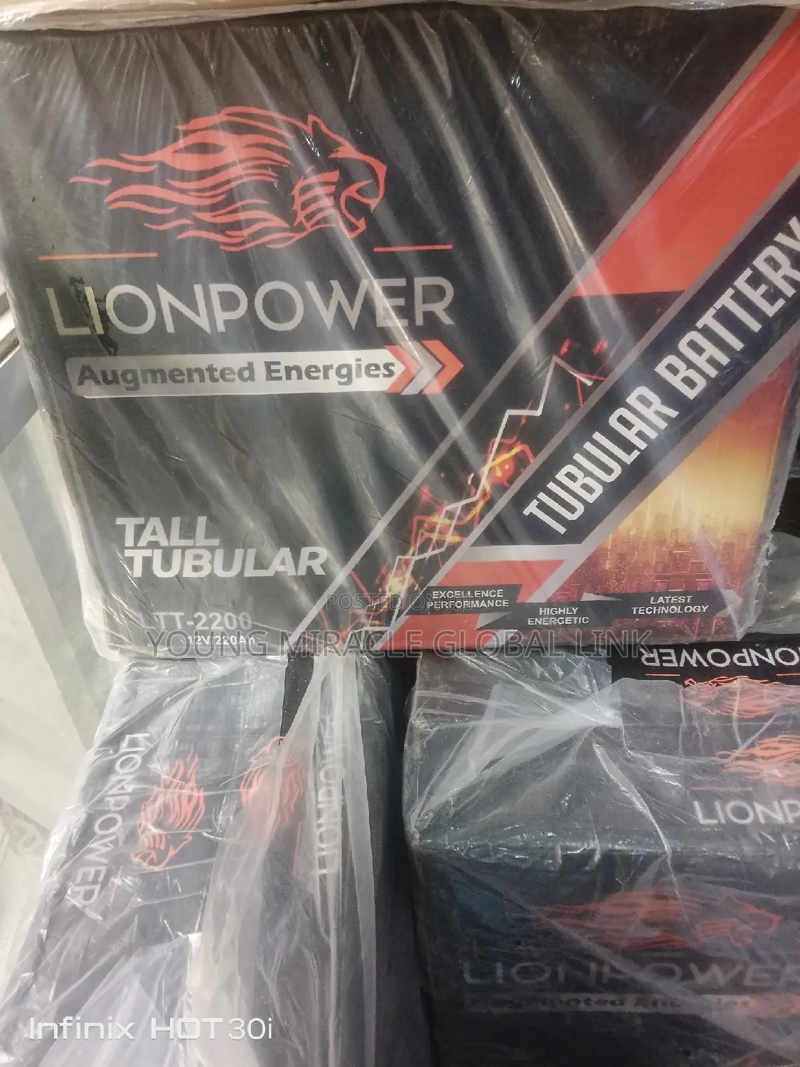 Indian Lion Battery