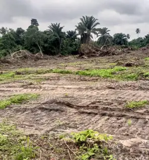 Lovely Dry Land Selling at Royal Palm Drive. Ikoyi