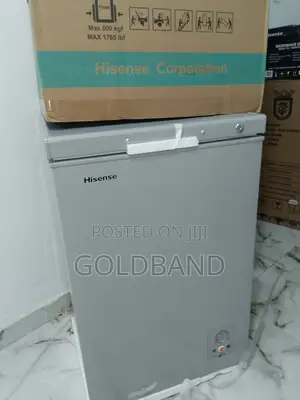 Efficient Hisense 95 Litres Fc-120sh Chest Freezer