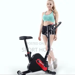 Magnetic Bike
