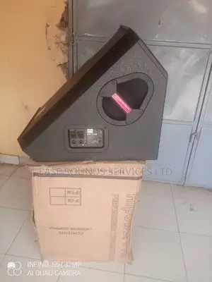 Feedback Speaker/Floor Monitor