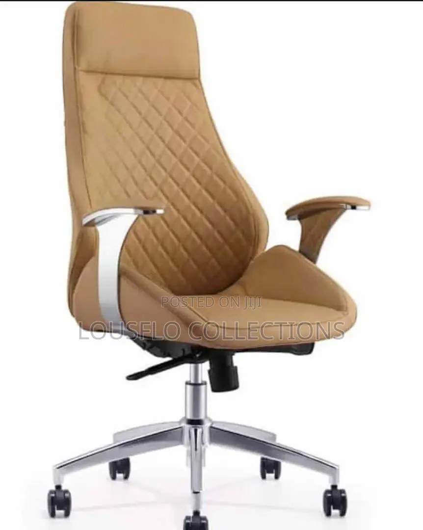 Director Office Chair 