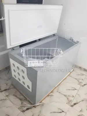 FC-55DD Hisense Chest Freezer 420L (Affordable).