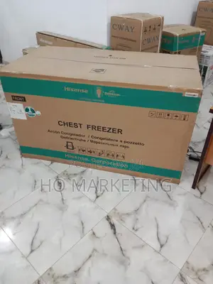 420l Fc-55dd Hisense Functional Chest Freezer