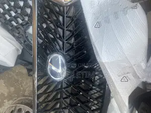 Front Grill Gx460 Lx Face