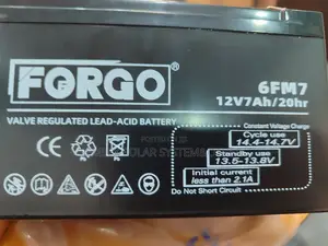 12v Pa Systems Battery