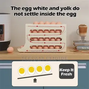 Refrigerator Egg Storage Rack