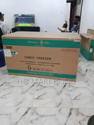420l Hisense Fc-55dd Comfortable Chest Freezer