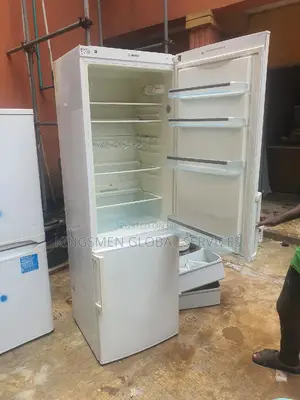 Siemens High Quality Double Door