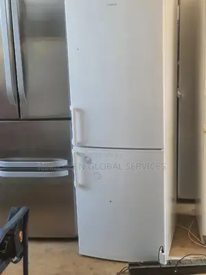Siemens High Quality Double Door