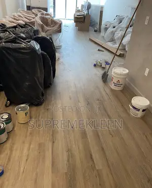 Best Professional Cleaning Services With a Wow Results