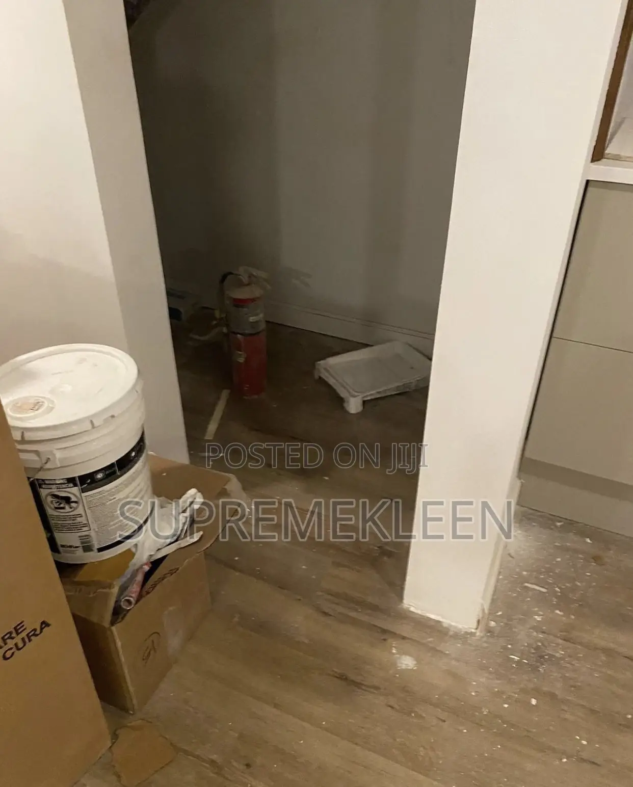 Best Professional Cleaning Services With a Wow Results