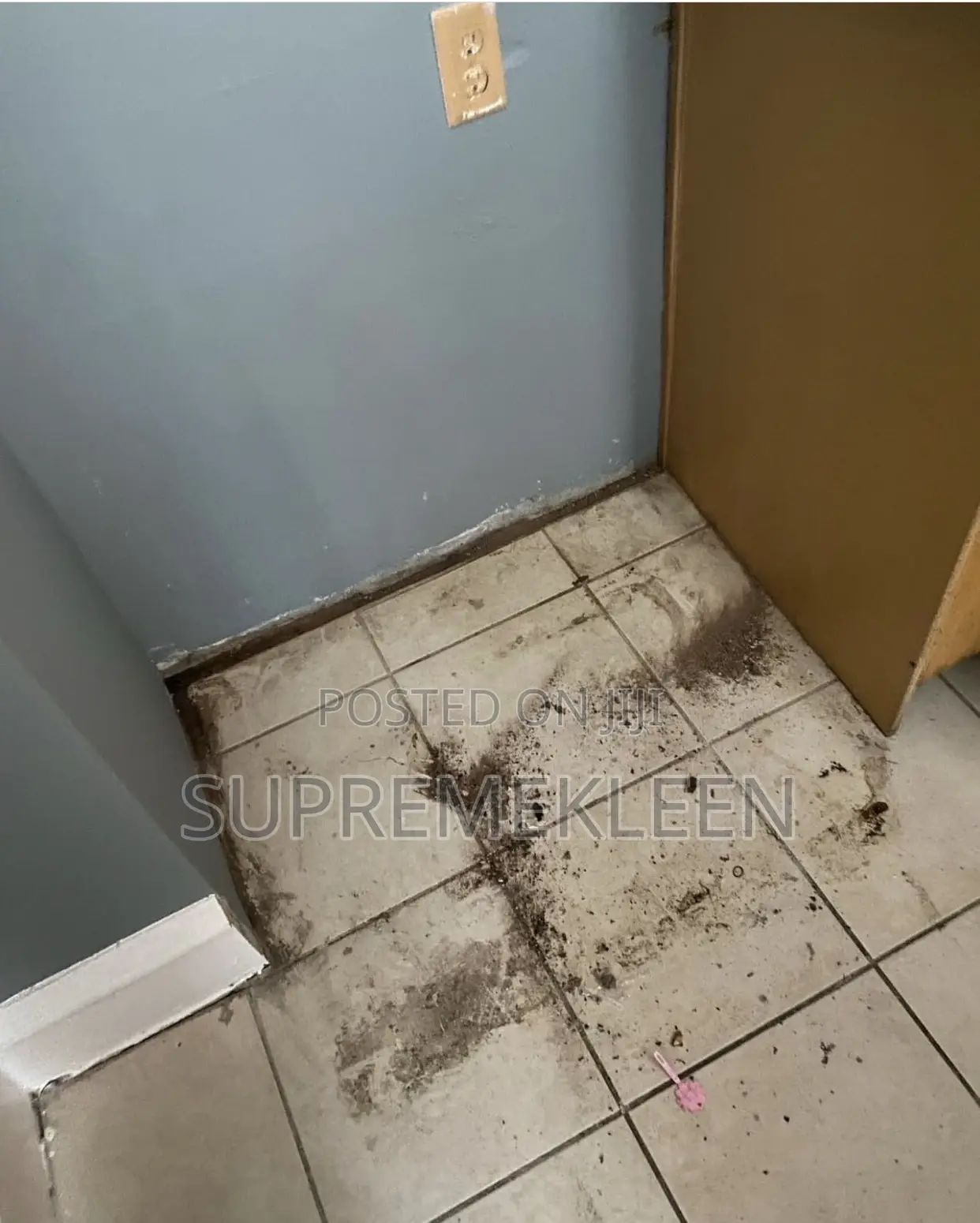 Professional Cleaning Services That Speaks for Itself