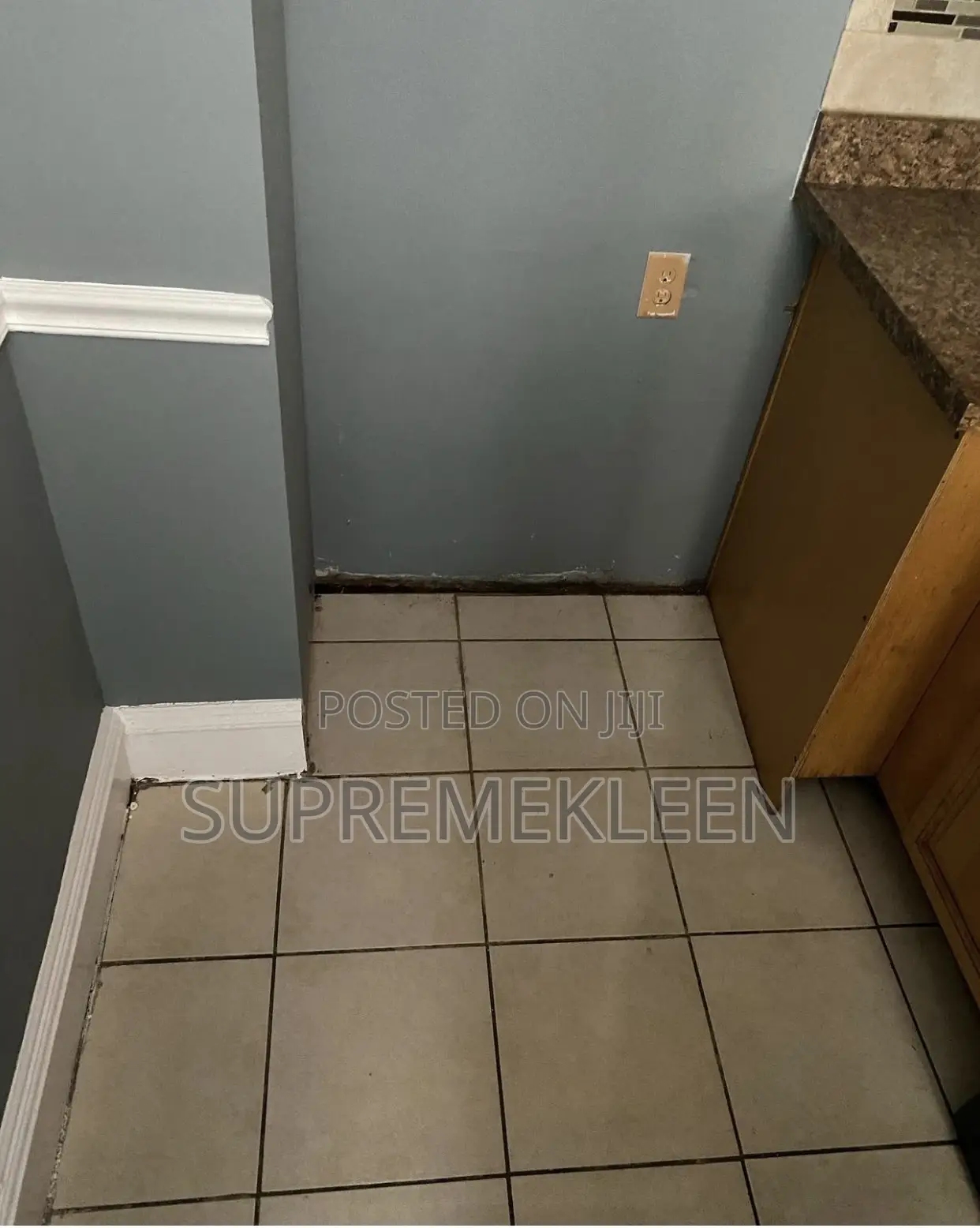 Professional Cleaning Services That Speaks for Itself