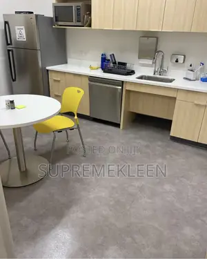 Professional Cleaning Services That Speaks for Itself