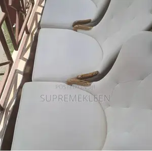 Professional Seat Sofa Cleaning at Its Best 