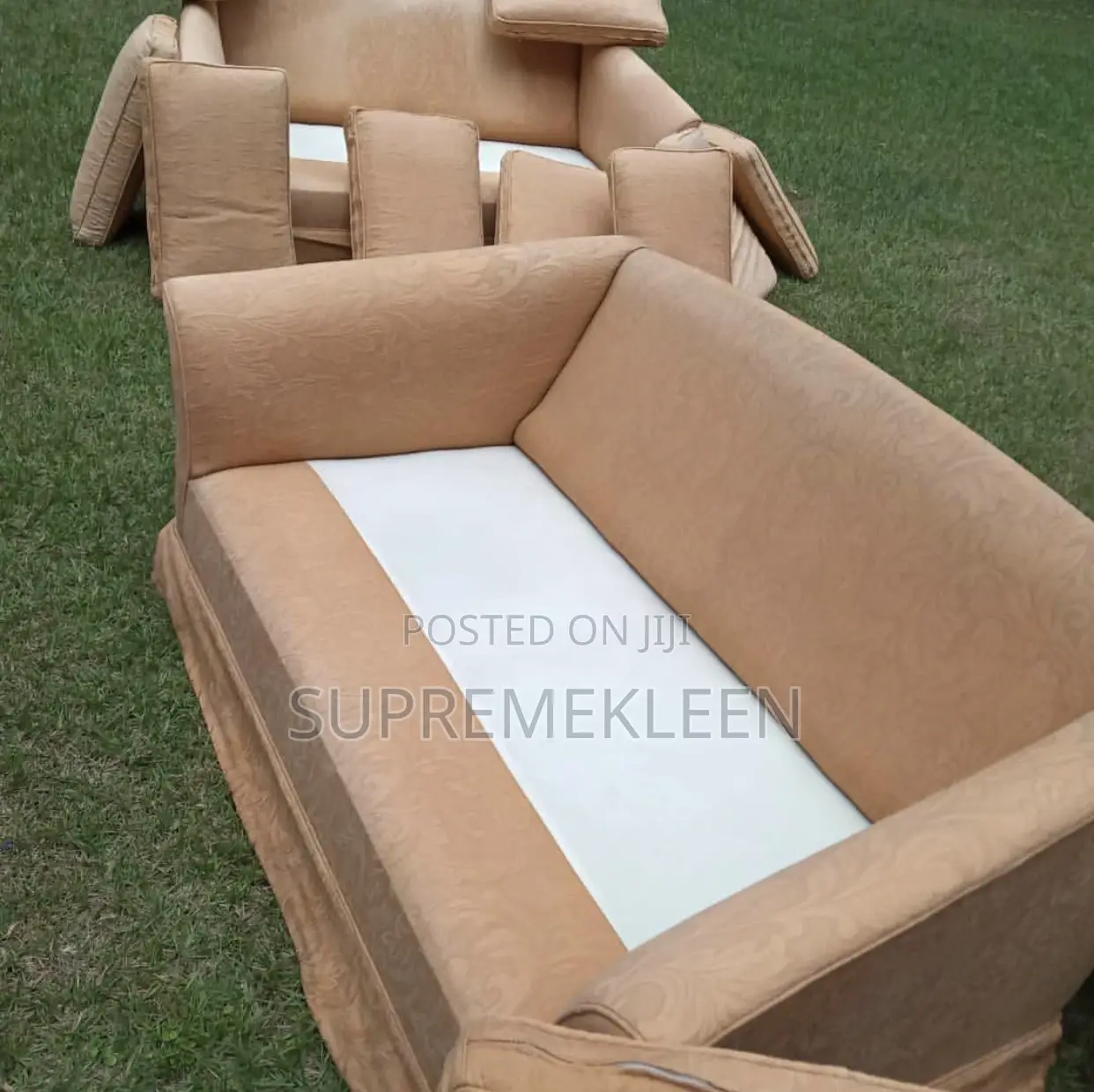 Professional Chair, Sofa Cleaners