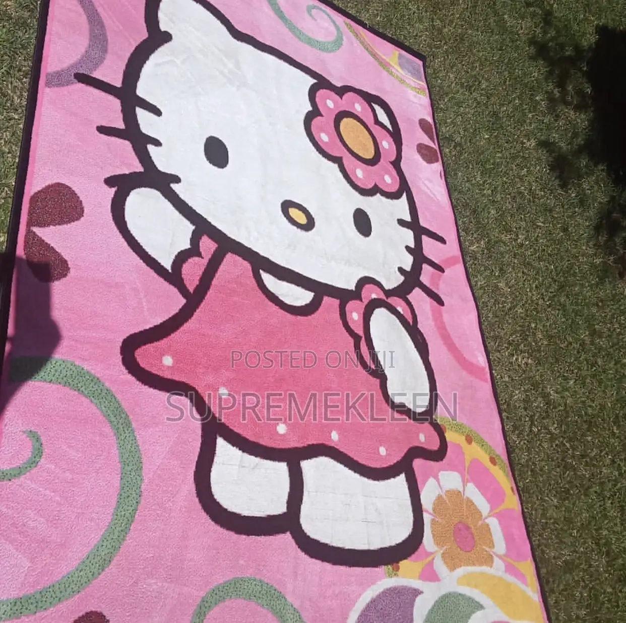Professional Rug, Carpet Cleaning Service