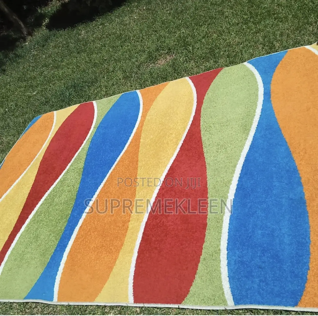 Professional Rug, Carpet Cleaning Service