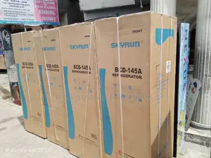 Skyrun Standing Fridge Double Door Inverter 3 Yrs W