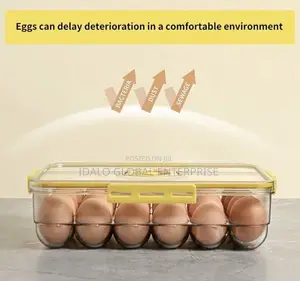 Acrylic Egg Storage Container